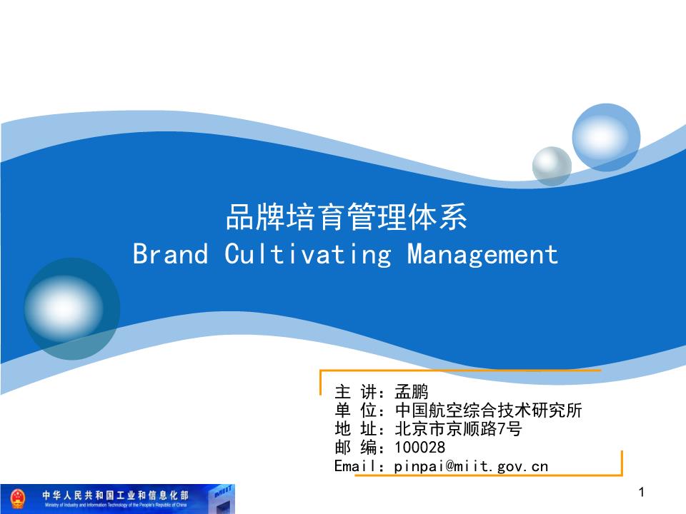 工业企业品牌培育管理体系[115p]